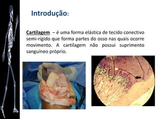 Anatomia
Ciência que estuda a estrutura
macroscópica e microscópica
do corpo dos seres vivos.
 