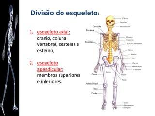 Um pouco da história...
• Leonardo da Vinci (1452-1519): “arte e ciência
caminham de mãos dadas”
 