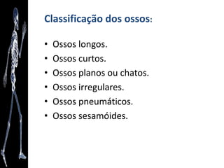 Um pouco da história...
• 1890 Formalina utilizada com fixador (Formol)
• 1885  Raios X
• Secúlo XX  intensificação das
pesquisas, descobertas de curas de
doenças, antibióticos – qualidade de vida.
 