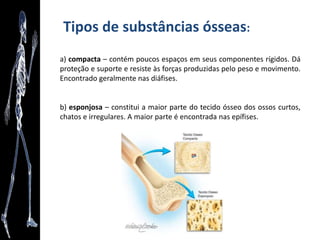 Anatomia como arte
“A criação do Homem" (1511) - Michelangelo
 