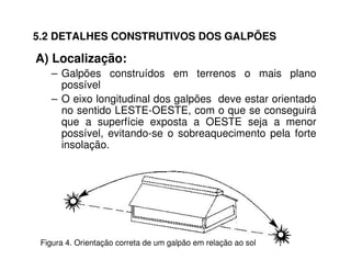 5.2 DETALHES CONSTRUTIVOS DOS GALPÕES 
A) Localização: 
– Galpões construídos em terrenos o mais plano 
possível 
– O eixo longitudinal dos galpões deve estar orientado 
no sentido LESTE-OESTE, com o que se conseguirá 
que a superfície exposta a OESTE seja a menor 
possível, evitando-se o sobreaquecimento pela forte 
insolação. 
Figura 4. Orientação correta de um galpão em relação ao sol 
 