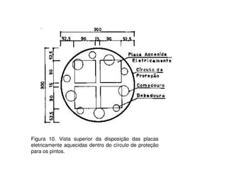 Figura 10. Vista superior da disposição das placas 
eletricamente aquecidas dentro do círculo de proteção 
para os pintos. 
 