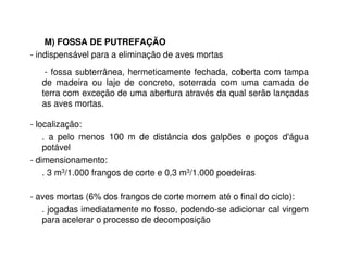 M) FOSSA DE PUTREFAÇÃO 
- indispensável para a eliminação de aves mortas 
- fossa subterrânea, hermeticamente fechada, coberta com tampa 
de madeira ou laje de concreto, soterrada com uma camada de 
terra com exceção de uma abertura através da qual serão lançadas 
as aves mortas. 
- localização: 
. a pelo menos 100 m de distância dos galpões e poços d'água 
potável 
- dimensionamento: 
. 3 m3/1.000 frangos de corte e 0,3 m3/1.000 poedeiras 
- aves mortas (6% dos frangos de corte morrem até o final do ciclo): 
. jogadas imediatamente no fosso, podendo-se adicionar cal virgem 
para acelerar o processo de decomposição 
 