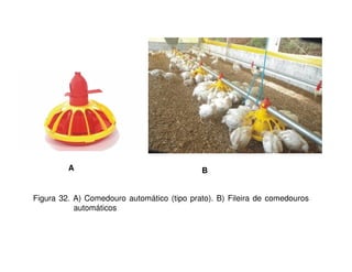 A B 
Figura 32. A) Comedouro automático (tipo prato). B) Fileira de comedouros 
automáticos 
 
