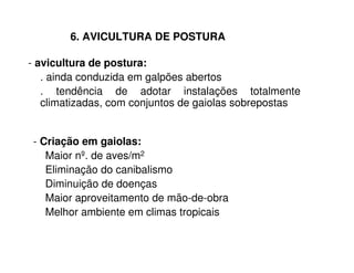 6. AVICULTURA DE POSTURA 
- avicultura de postura: 
. ainda conduzida em galpões abertos 
. tendência de adotar instalações totalmente 
climatizadas, com conjuntos de gaiolas sobrepostas 
- Criação em gaiolas: 
Maior nº. de aves/m2 
Eliminação do canibalismo 
Diminuição de doenças 
Maior aproveitamento de mão-de-obra 
Melhor ambiente em climas tropicais 
 