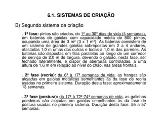 6.1. SISTEMAS DE CRIAÇÃO 
B) Segundo sistema de criação 
. 1ª fase: pintos são criados, do 1º ao 30º dias de vida (4 semanas), 
em baterias de gaiolas com capacidade média de 800 pintos, 
ocupando uma área de 3 m2 (3 x 1 m2). As baterias consistem de 
um sistema de grandes gaiolas sobrepostas em 2 a 4 andares, 
afastadas 1,0 m umas das outras e todas a 1,0 m das paredes. As 
baterias são dispostas em filas paralelas ao longo de um corredor 
de serviço de 2,0 m de largura, devendo o galpão, nesta fase, ser 
fechado lateralmente, e dispor de aberturas controladas, a uma 
altura de 1,6 m em relação ao nível do chão, nas áreas frontais. 
. 2ª fase (recria): da 6ª à 17ª semanas de vida, as frangas são 
alojadas em gaiolas metálicas semelhantes às da fase de recria 
usadas no primeiro sistema. Duração desta fase: aproximadamente 
13 semanas. 
. 3ª fase (postura): da 17ª à 72ª-74ª semanas de vida, as galinhas 
poedeiras são alojadas em gaiolas semelhantes às da fase de 
postura usadas no primeiro sistema. Duração desta fase: 55 a 57 
semanas. 
 