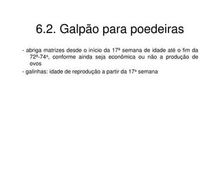 6.2. Galpão para poedeiras 
- abriga matrizes desde o início da 17ª semana de idade até o fim da 
72ª-74a, conforme ainda seja econômica ou não a produção de 
ovos 
- galinhas: idade de reprodução a partir da 17a semana 
 