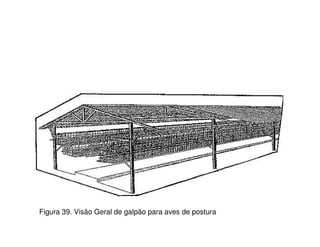 Figura 39. Visão Geral de galpão para aves de postura 
 