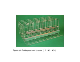 Figura 43. Gaiola para aves postura (1,0 x 40 x 40m) 
 