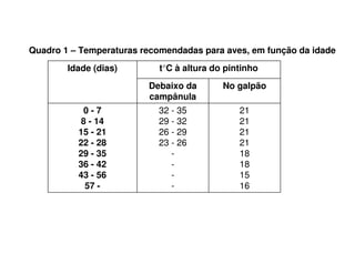 Quadro 1 – Temperaturas recomendadas para aves, em função da idade
21
21
21
21
18
18
15
16
32 - 35
29 - 32
26 - 29
23 - 26
-
-
-
-
0 - 7
8 - 14
15 - 21
22 - 28
29 - 35
36 - 42
43 - 56
57 -
No galpãoDebaixo da
campânula
t°C à altura do pintinhoIdade (dias)
 