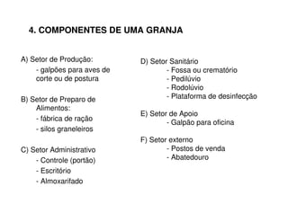 4. COMPONENTES DE UMA GRANJA
A) Setor de Produção:
- galpões para aves de
corte ou de postura
B) Setor de Preparo de
Alimentos:
- fábrica de ração
- silos graneleiros
C) Setor Administrativo
- Controle (portão)
- Escritório
- Almoxarifado
D) Setor Sanitário
- Fossa ou crematório
- Pedilúvio
- Rodolúvio
- Plataforma de desinfecção
E) Setor de Apoio
- Galpão para oficina
F) Setor externo
- Postos de venda
- Abatedouro
 