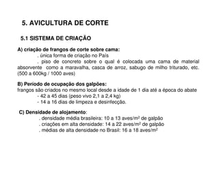 5. AVICULTURA DE CORTE
A) criação de frangos de corte sobre cama:
. única forma de criação no País
. piso de concreto sobre o qual é colocada uma cama de material
absorvente como a maravalha, casca de arroz, sabugo de milho triturado, etc.
(500 a 600kg / 1000 aves)
5.1 SISTEMA DE CRIAÇÃO
C) Densidade de alojamento:
. densidade média brasileira: 10 a 13 aves/m2 de galpão
. criações em alta densidade: 14 a 22 aves/m2 de galpão
. médias de alta densidade no Brasil: 16 a 18 aves/m2
B) Período de ocupação dos galpões:
frangos são criados no mesmo local desde a idade de 1 dia até a época do abate
- 42 a 45 dias (peso vivo 2,1 a 2,4 kg)
- 14 a 16 dias de limpeza e desinfecção.
 