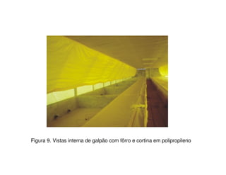 Figura 9. Vistas interna de galpão com fôrro e cortina em polipropileno
 