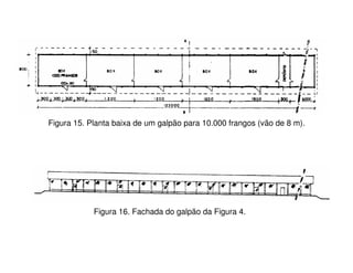 Figura 15. Planta baixa de um galpão para 10.000 frangos (vão de 8 m).
Figura 16. Fachada do galpão da Figura 4.
 