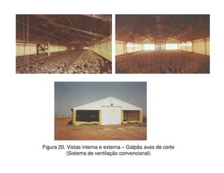 Figura 20. Vistas interna e externa – Galpão aves de corte
(Sistema de ventilação convencional)
 