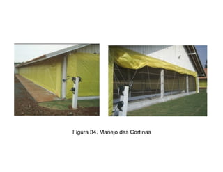 Figura 34. Manejo das Cortinas
 