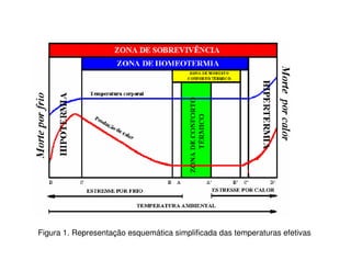 Figura 1. Representação esquemática simplificada das temperaturas efetivas
 