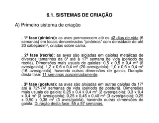 6.1. SISTEMAS DE CRIAÇÃO
. 1ª fase (pinteiro): as aves permanecem até os 42 dias de vida (6
semanas) em locais denominados “pinteiros” com densidade de até
20 cabeças/m2, criadas sobre cama.
. 2ª fase (recria): as aves são alojadas em gaiolas metálicas de
diversos tamanhos da 6ª até à 17ª semana de vida (período de
recria). Dimensões mais usuais de gaiolas: 0,5 x 0,5 x 0,4 m3 (8
aves/gaiola); 1,2 x 0,6 x 0,4 m3 (20 aves/gaiola); 1,0 x 0,6 x 0,4 m3
(16 aves/gaiola), havendo outras dimensões de gaiola. Duração
desta fase: 11 semanas aproximadamente.
. 3ª fase (postura): as aves são alojadas em outras gaiolas da 17ª
até à 72ª-74ª semanas de vida (período de postura). Dimensões
mais usuais de gaiola: 0,25 x 0,4 x 0,4 m3 (2 aves/gaiola); 0,3 x 0,4
x 0,4 m3 (3 aves/gaiola); 0,25 x 0,45 x 0,40 m3 (3 aves/gaiola); 0,25
x 0,50 x 0,38 m3 (3 aves/gaiola), havendo outras dimensões de
gaiola. Duração desta fase: 55 a 57 semanas.
A) Primeiro sistema de criação
 