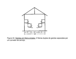Figura 44. Gaiolas em fileira simples: 2 fileiras duplas de gaiolas separadas por
um corredor de serviço.
 