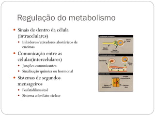 Regulação do metabolismo 
Sinais de dentro da célula (intracelulares) 
Inibidores/ativadores alostéricos de enzimas 
Comunicação entre as células(intercelulares) 
Junções comunicantes 
Sinalização química ou hormonal 
Sistemas de segundos mensageiros 
Fosfatidilinusitol 
Sistema adenilato-ciclase  