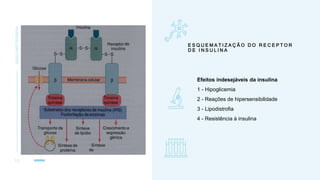 E S Q U E M A T I Z A Ç Ã O D O R E C E P T O R
D E I N S U L I N A
INSULINOTERAPIA
1 5
Efeitos indesejáveis da insulina
1 - Hipoglicemia
2 - Reações de hipersensibilidade
3 - Lipodistrofia
4 - Resistência à insulina
 
