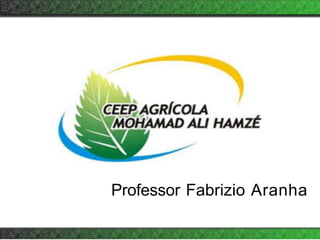 Professor Fabrizio Aranha
 