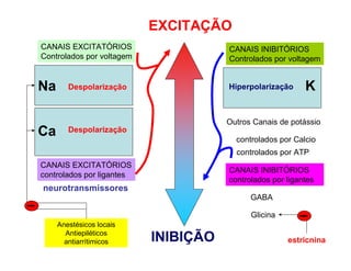 CANAIS EXCITATÓRIOS
Controlados por voltagem
CANAIS INIBITÓRIOS
Controlados por voltagem
Na
Ca
CANAIS EXCITATÓRIOS
controlados por ligantes
neurotransmissores
Hiperpolarização KDespolarização
Outros Canais de potássio
controlados por Calcio
controlados por ATP
CANAIS INIBITÓRIOS
controlados por ligantes
GABA
Glicina
Despolarização
Anestésicos locais
Antiepiléticos
antiarrítimicos
EXCITAÇÃO
INIBIÇÃO estricnina
 