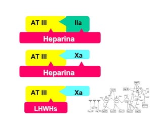 AT III IIa
HeparinaHeparina
AT III Xa
HeparinaHeparina
AT III Xa
LHWHsLHWHs
 