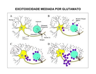 EXCITOXICIDADE MEDIADA POR GLUTAMATO
 