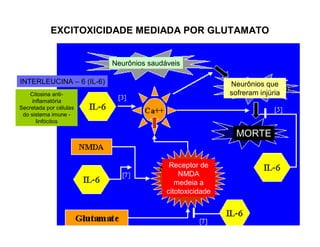 EXCITOXICIDADE MEDIADA POR GLUTAMATO
Neurônios saudáveis
Neurônios que
sofreram injúria
MORTE
Receptor de
NMDA
medeia a
citotoxicidade
INTERLEUCINA – 6 (IL-6)
Citosina anti-
inflamatória
Secretada por células
do sistema imune -
linfócitos
 