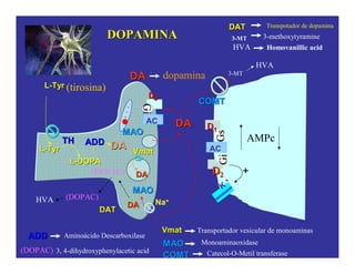 DADA
DADA
DADA
DATDAT
GiGi
GiGi
Na+
VmatVmat
AC
DD22
DD
AC
GsGs
K
+
DD11
LL--TyrTyr
LL--TyrTyr
THTH
LL--DOPADOPA
ADDADD
MAOMAO
+
Aminoácido DescarboxilaseADDADD
VmatVmat Transportador vesicular de monoaminas
MAOMAO Monoaminaoxidase
COMTCOMT Catecol-O-Metil transferase
DADA dopamina
(tirosina)
COMTCOMT
(DOPAC)
(DOPAC) 3, 4-dihydroxyphenylacetic acid
3-methoxytyramine
3-MT
DATDAT
HVA
DADA
HVA (DOPAC)
Homovanillic acidHVA
3-MT
Transpotador de dopamina
DOPAMINADOPAMINA
AMPc
MAOMAO
 