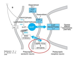 Baldessarini, R. J.
In: Brunton et al.,
2006
 