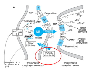 Baldessarini, R. J.
In: Brunton et al.,
2006
 
