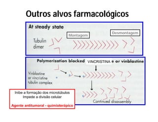 Outros alvos farmacológicos
Montagem
Desmontagem
VINCRISTINA
Inibe a formação dos microtúbulos
Impede a divisão celular
Agente antitumoral - quimioterápico
 