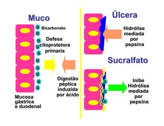 MucoMuco
MucosaMucosa
ggáástricastrica
e duodenale duodenal
B
B
B
B
B
B
B
B
B
B
BicarbonatoBicarbonato
DefesaDefesa
citoprotetoracitoprotetora
primariaprimaria
DigestãoDigestão
ppéépticaptica
induzidainduzida
porpor áácidocido
HidrHidróóliselise
mediadamediada
porpor
pepsinapepsina
InibeInibe
HidrHidróóliselise
mediadamediada
porpor
pepsinapepsina
B
B
B
SucralfatoSucralfato
ÚÚlceralcera
 