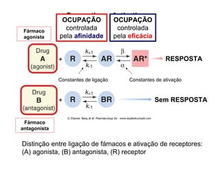 Fármaco
agonista
Fármaco
antagonista
OCUPAÇÃO
controlada
pela afinidade
OCUPAÇÃO
controlada
pela eficácia
RESPOSTA
Sem RESPOSTA
Distinção entre ligação de fámacos e ativação de receptores:
(A) agonista, (B) antagonista, (R) receptor
Constantes de ligação Constantes de ativação
 