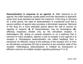Desensitization in response to an agonist. A. After exposure to an
agonist, the initial response usually peaks and then decreases to approach
some tonic level elevated but below the maximum. If the drug is removed
for a brief period, the state of desensitization is maintained such that a
second addition of agonist also provokes a diminished response. Removal
of the drug for a more extended period allows the cell to recover its
capacity to respond. B, C. Desensitization may be homologous (B),
affecting responses elicited only by the stimulated receptor, or
heterologous (C), acting on several receptors or on a pathway that is
common to many receptors. Agonist a acts at receptor a and agonist b at
receptor b. Homologous desensitization can reflect feedback from a
transducer (or effector) unique to the pathway of the receptor (X1) or from
an off-pathway component (K) that is sensitive to the activation state of the
receptor. Heterologous desensitization is initiated by transducers or
effectors common to multiple receptor signaling pathways (Y or Z).
Buxton, 2006
 