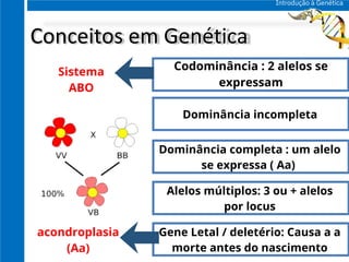 AULA INTRODUÇÃO A GENETICA.pdfAAAAAAAAAAAAAAAAA | PDF