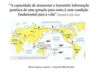 “A capacidade de armazenar e transmitir informação
genética de uma geração para outra é uma condição
fundamental para a vida” (NELSON e COX, 2014).
Homo sapiens sapiens – cerca de 200 mil anos
 