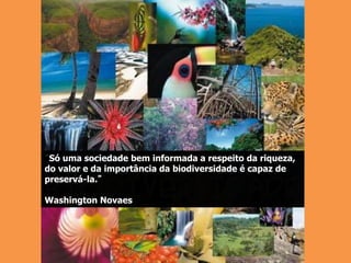 “Só uma sociedade bem informada a respeito da riqueza,
do valor e da importância da biodiversidade é capaz de
preservá-la.”
Washington Novaes
 