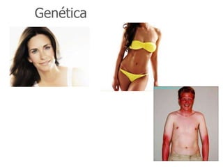 Genética
 