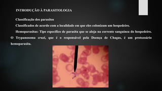 INTRODUÇÃO À PARASITOLOGIA
Classificação dos parasitos
Classificados de acordo com a localidade em que eles colonizam um hospedeiro.
Hemoparasitas: Tipo específico de parasita que se aloja na corrente sanguínea do hospedeiro.
O Trypanosoma cruzi, que é o responsável pela Doença de Chagas, é um protozoário
hemoparasita.
 