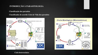 INTRODUÇÃO À PARASITOLOGIA
Classificação dos parasitos
Classificados de acordo Ciclo de Vida dos parasitos
Ciclo heteroxênico
 