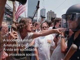 A sociologia estuda:
A natureza gregária do homem.
A vida em sociedade.
Os processos sociais.

 