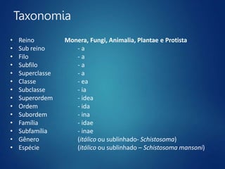 Taxonomia
• Reino
• Sub reino
• Filo
• Subfilo
• Superclasse
• Classe
• Subclasse
• Superordem
• Ordem
• Subordem
• Família
• Subfamília
• Gênero
• Espécie
Monera, Fungi, Animalia, Plantae e Protista
- a
- a
- a
- a
- ea
- ia
- idea
- ida
- ina
- idae
- inae
(itálico ou sublinhado- Schistosoma)
(itálico ou sublinhado – Schistosoma mansoni)
 