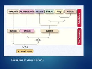 Excluídos os vírus e príons
 