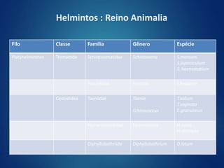 Helmintos : Reino Animalia
Filo Classe Família Gênero Espécie
Platyhelminthes Trematoda Schistosomatidae Schistosoma S.mansoni
S.japoniculum
S. haematobium
Fasciolidae Fasciola F.hepatica
Cestodidea Taeniidae Taenia
Echinococcus
T.solium
T.saginata
E.granulosus
Hymenolepididae Hymenolepis H.nana
H.diminuta
Diphyllobothriide Diphyllobothrium D.latum
 