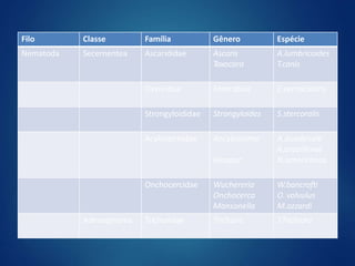 Filo Classe Família Gênero Espécie
Nematoda Secernentea Ascarididae Ascaris
Toxocara
A.lumbricoides
T.canis
Oxyuridae Enterobius E.vermicularis
Strongyloididae Strongyloides S.stercoralis
Acylostomidae Ancylostoma
Necator
A.duodenale
A.braziliense
N.americanus
Onchocercidae Wuchereria
Onchocerca
Mansonella
W.bancrofti
O. volvulus
M.ozzardi
Adenophorea Trichuridae Trichuris T.Trichiura
 