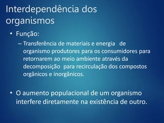 Interdependência dos
organismos
• Função:
– Transferência de materiais e energia de
organismo produtores para os consumidores para
retornarem ao meio ambiente através da
decomposição para recirculação dos compostos
orgânicos e inorgânicos.
• O aumento populacional de um organismo
interfere diretamente na existência de outro.
 