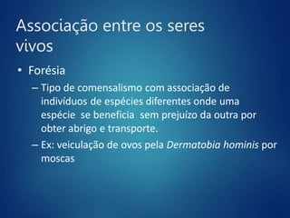 Associação entre os seres
vivos
• Forésia
– Tipo de comensalismo com associação de
indivíduos de espécies diferentes onde uma
espécie se beneficia sem prejuízo da outra por
obter abrigo e transporte.
– Ex: veiculação de ovos pela Dermatobia hominis por
moscas
 